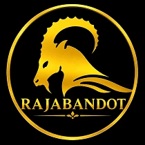 Review Aplikasi rajabandot